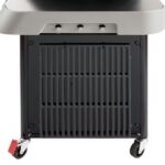 PLINSKI ŽAR WEBER GENESIS E-325 - slika 7